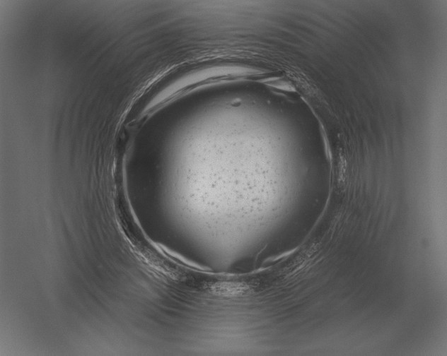 X0000051270444200507011749