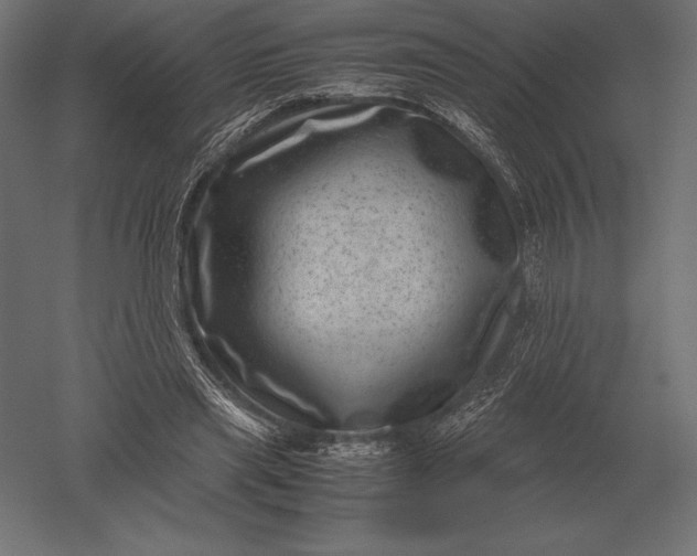 X0000051270445200507011749