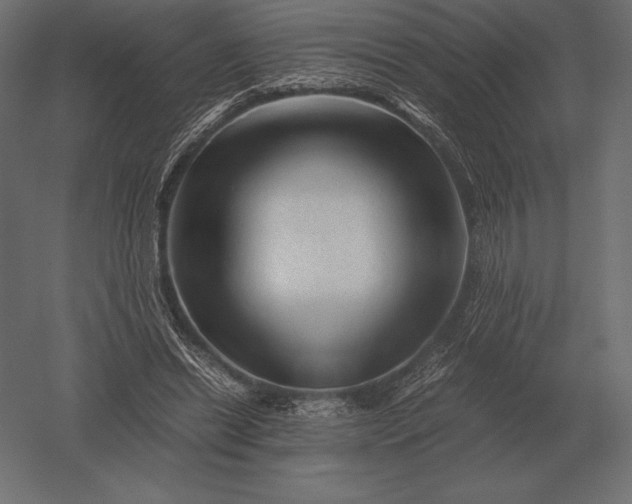 X0000051270446200507011749