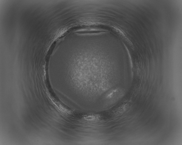X0000051270447200507011749