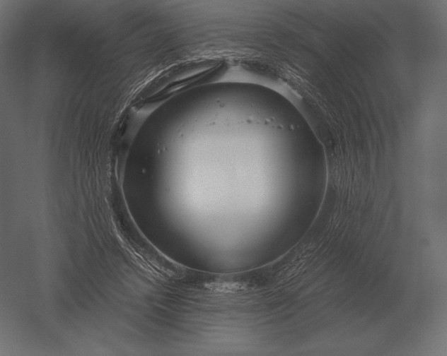 X0000051270448200507011749