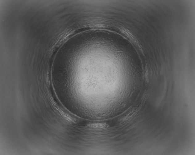 X0000051270449200507011749