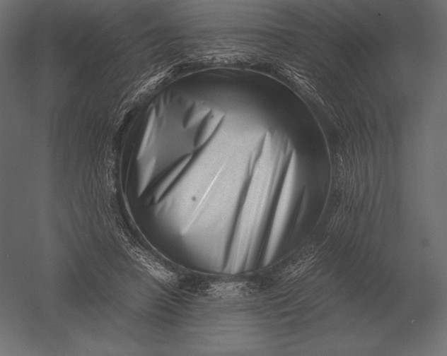 X0000051270450200507011749
