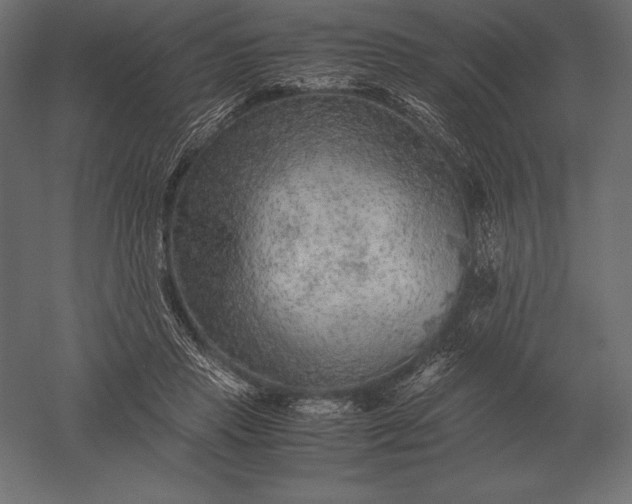 X0000051270453200507011749