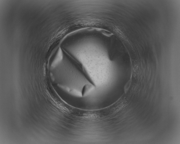 X0000051270454200507011749