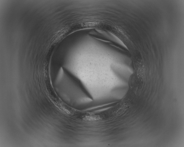 X0000051270455200507011749