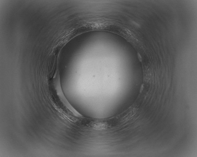 X0000051270456200507011749