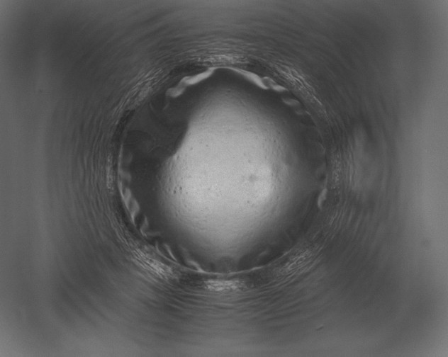 X0000051270457200507011749
