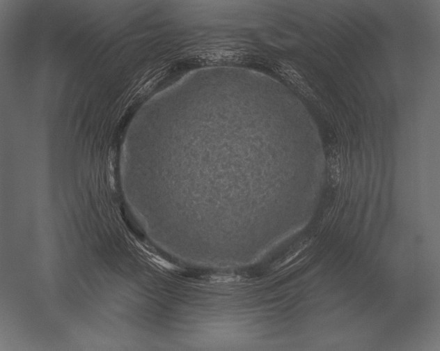 X0000051270458200507011749