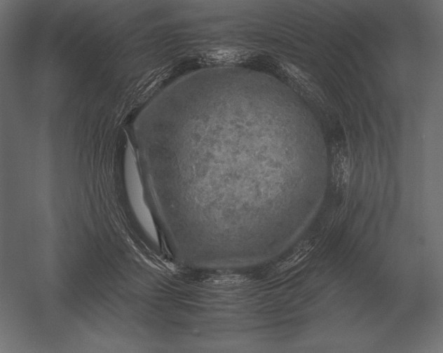 X0000051270459200507011749