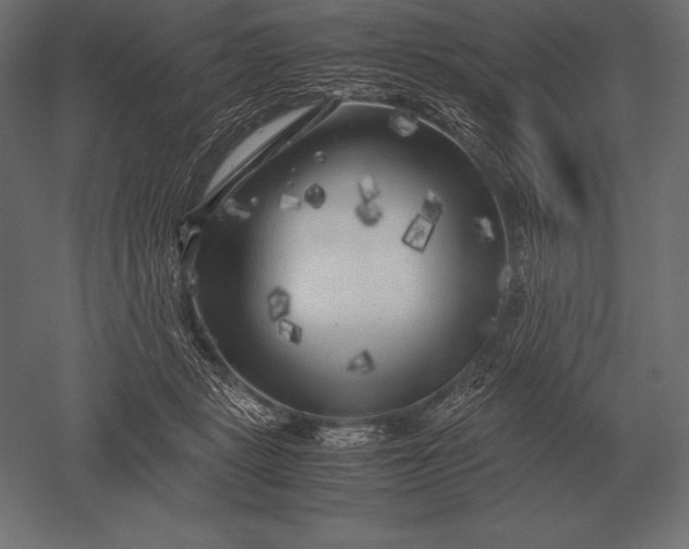 X0000051270461200507011749