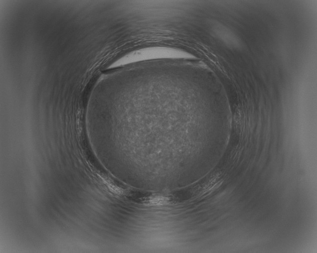 X0000051270462200507011749