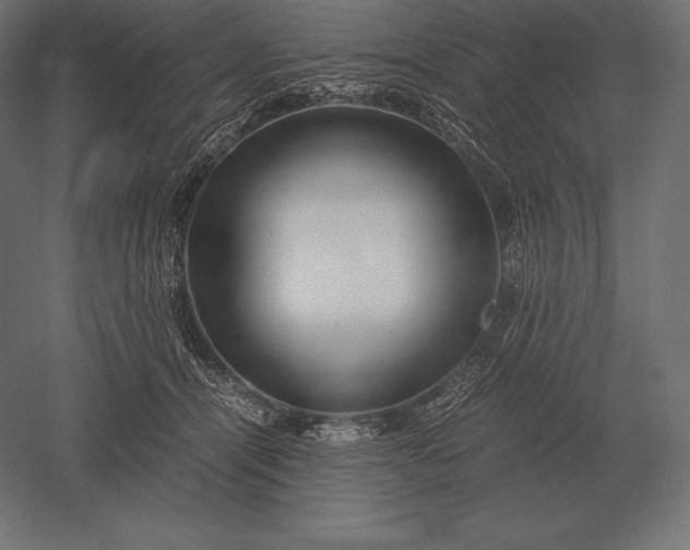 X0000051270464200507011749