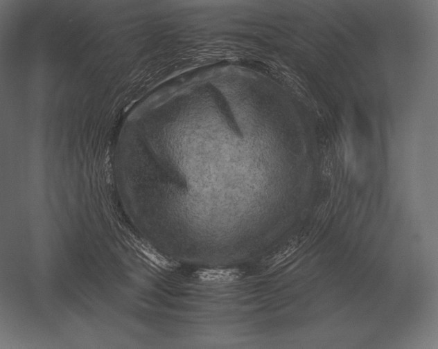 X0000051270465200507011749