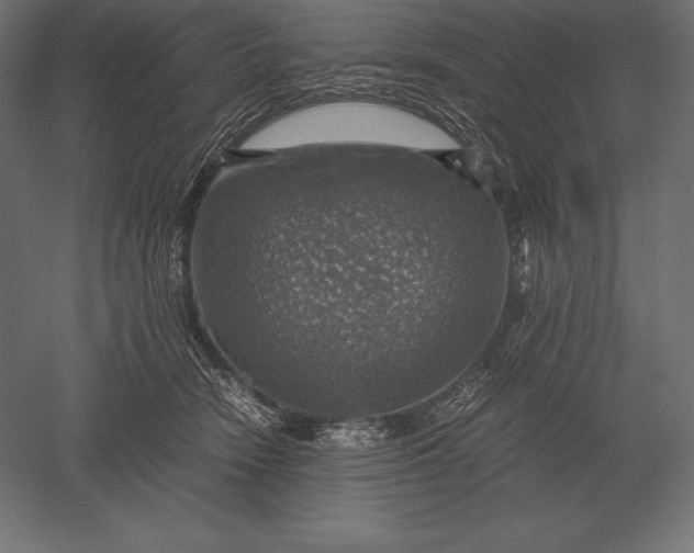 X0000051270466200507011749