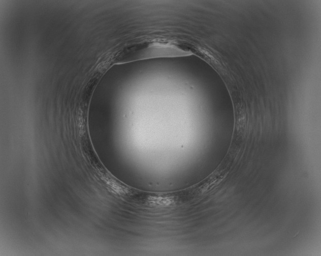 X0000051270469200507011749