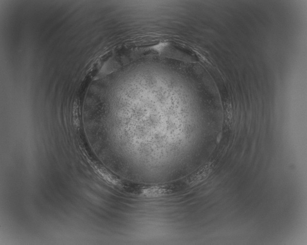 X0000051270470200507011749