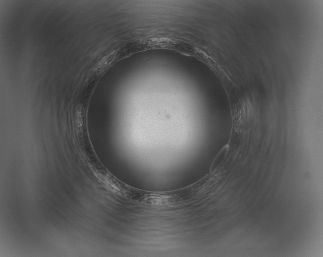 X0000051270472200507011749