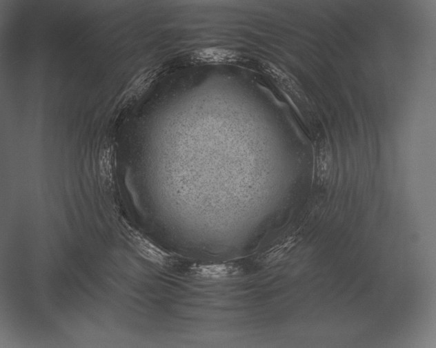 X0000051270473200507011749