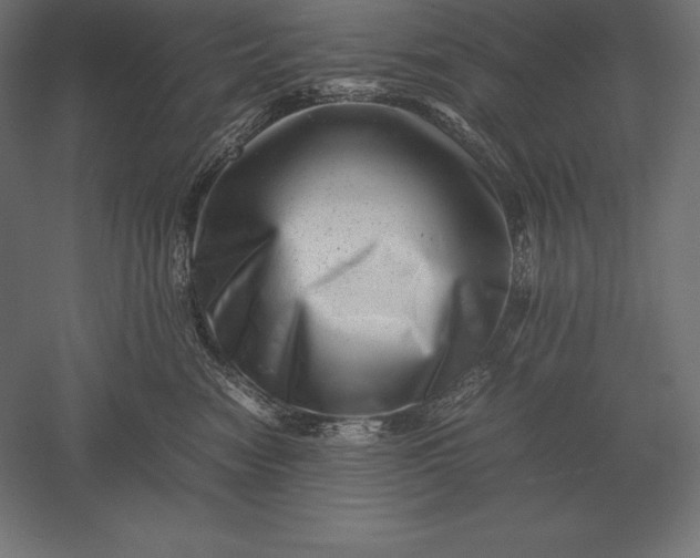 X0000051270474200507011749