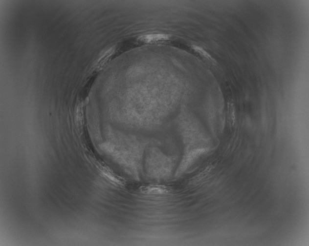 X0000051270475200507011749