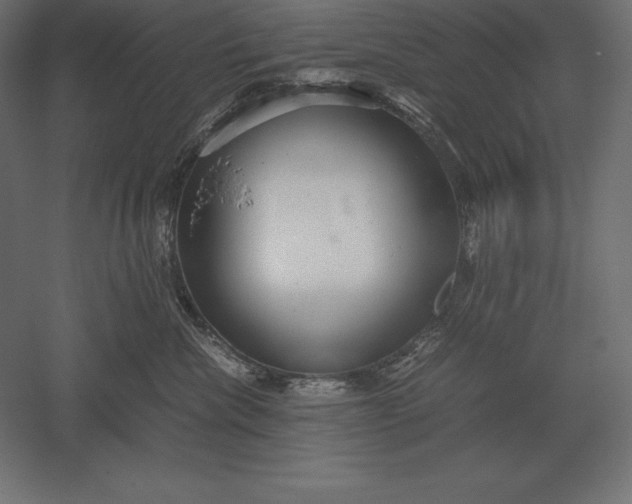 X0000051270476200507011749
