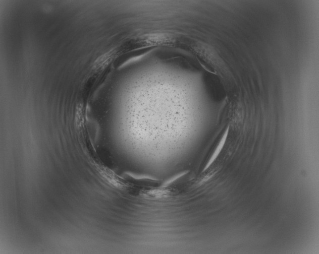 X0000051270478200507011749