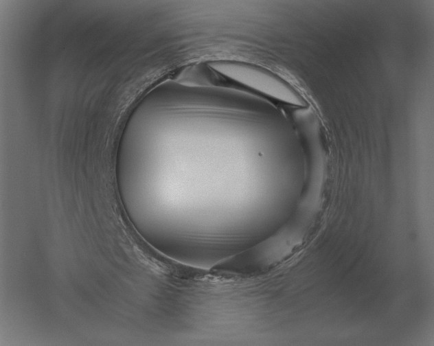 X0000051270481200507011749