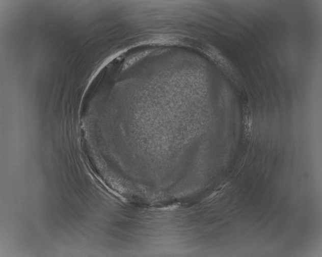 X0000051270484200507011749