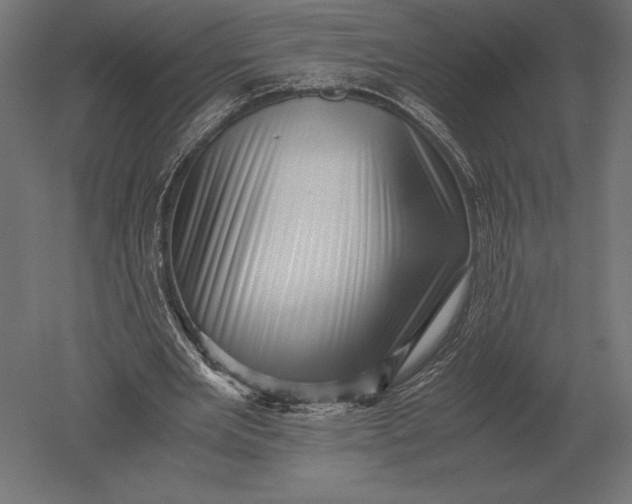 X0000051270485200507011749