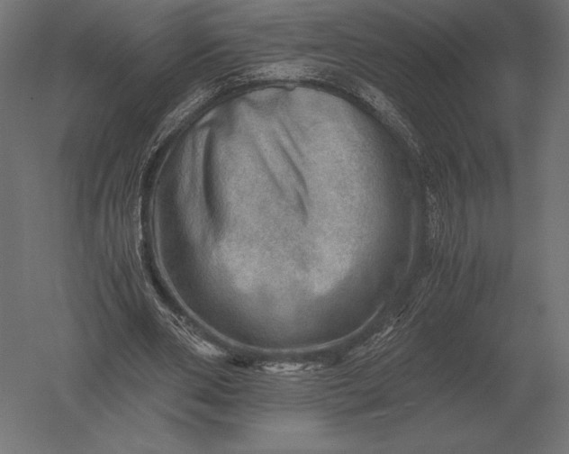 X0000051270486200507011749