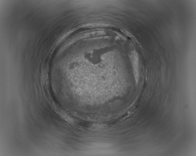X0000051270487200507011749
