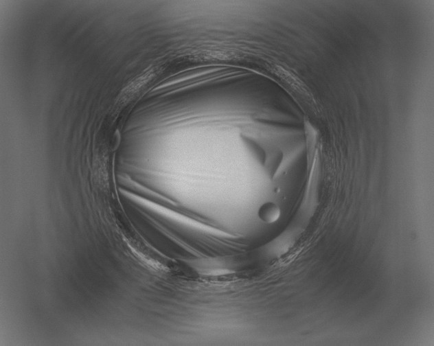 X0000051270489200507011749