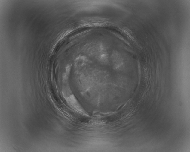 X0000051270491200507011748