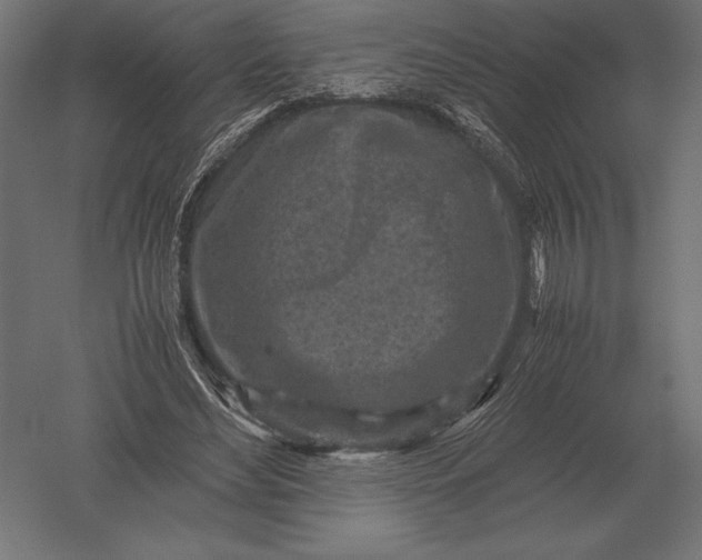 X0000051270492200507011748