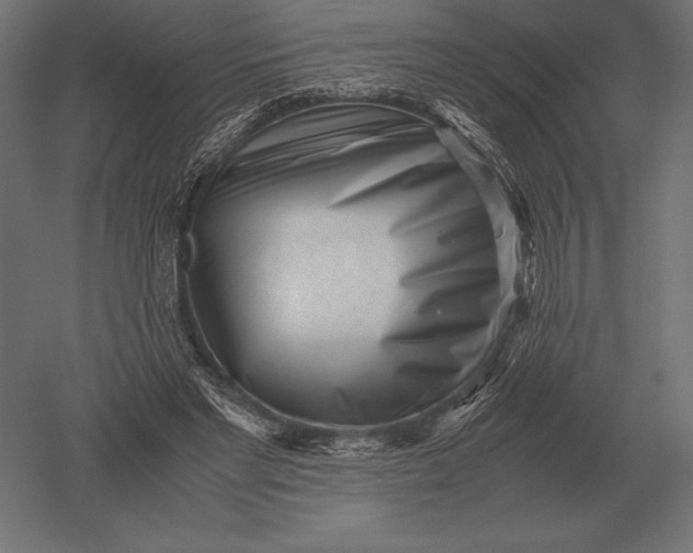 X0000051270493200507011748