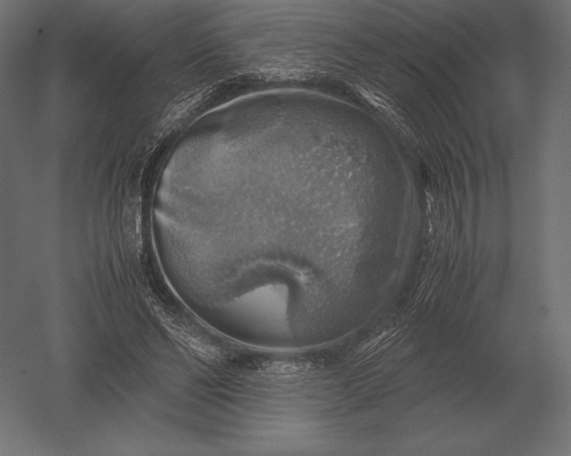 X0000051270494200507011748