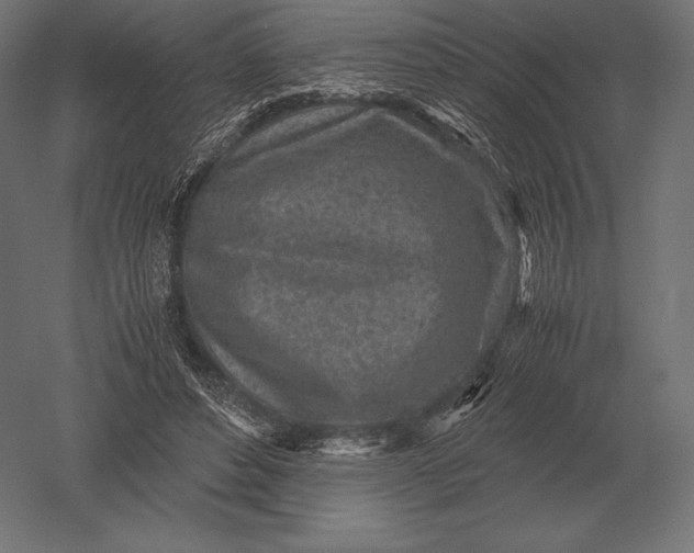 X0000051270496200507011748