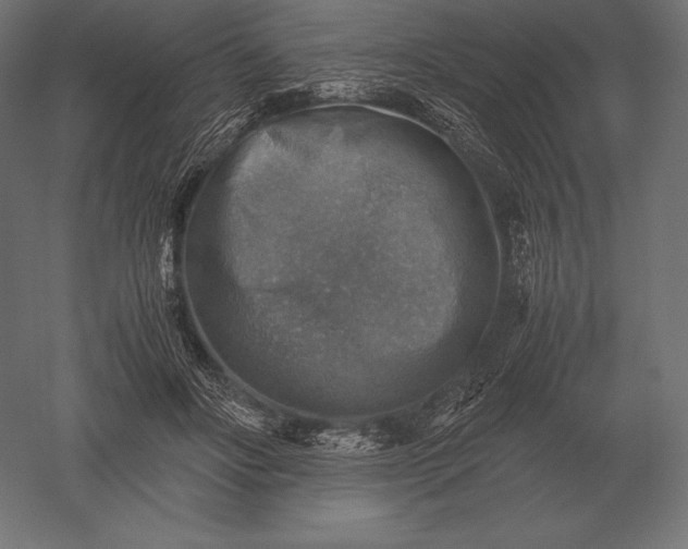 X0000051270502200507011748