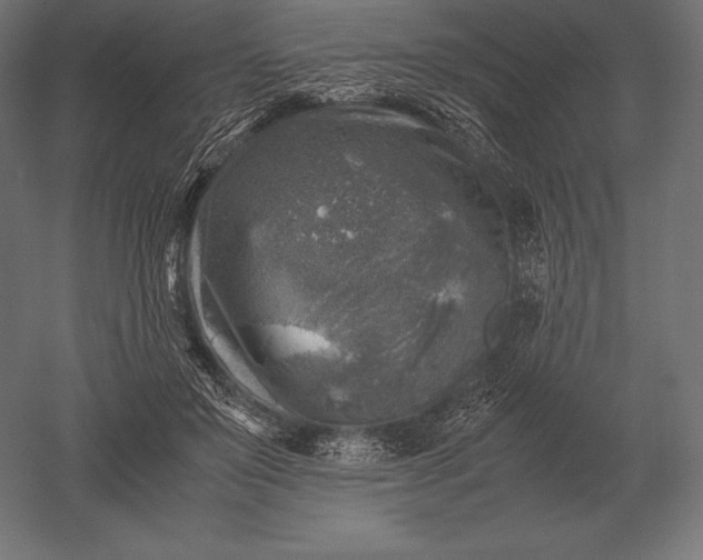 X0000051270503200507011748