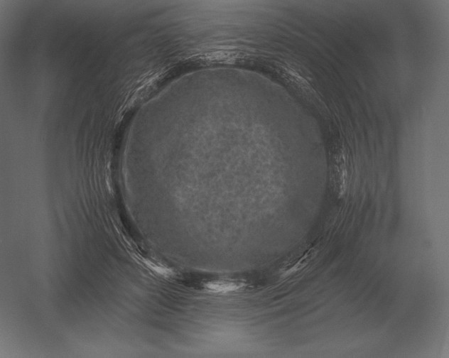 X0000051270504200507011748