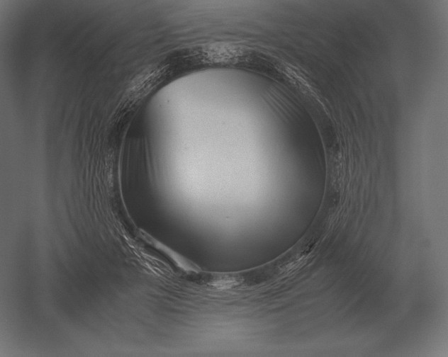 X0000051270505200507011748