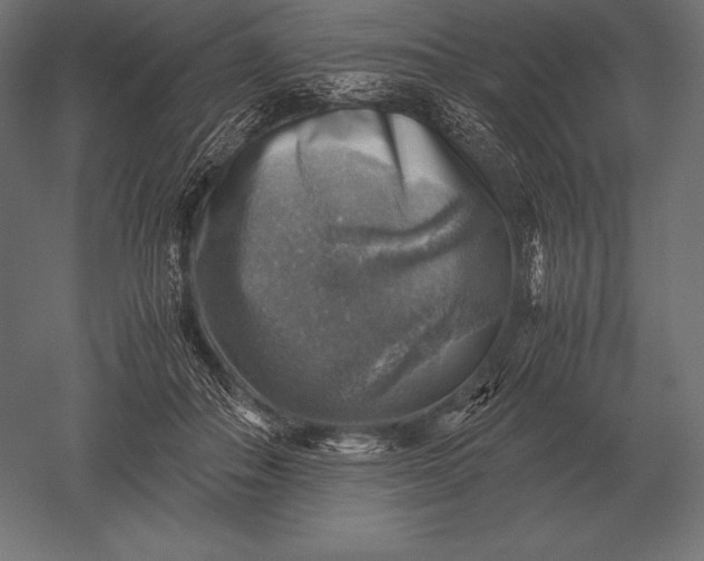 X0000051270506200507011748
