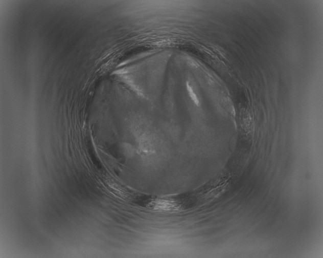 X0000051270507200507011748