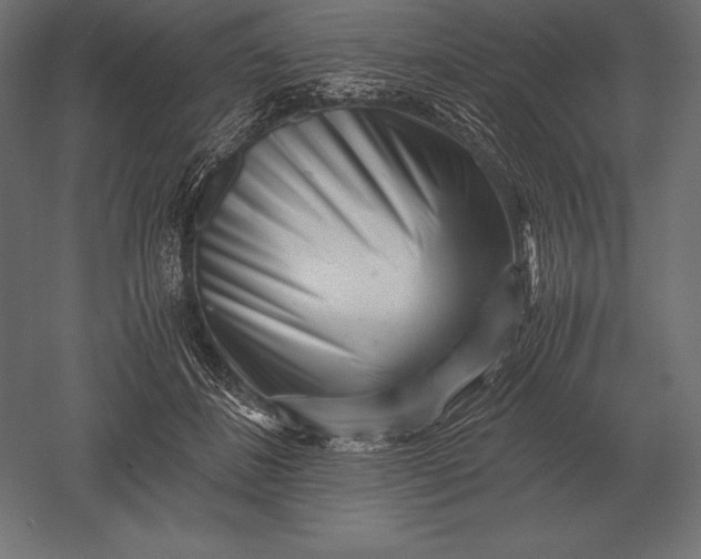 X0000051270508200507011748