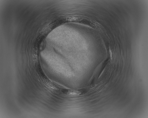 X0000051270510200507011748