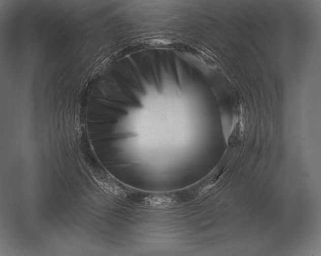 X0000051270512200507011748