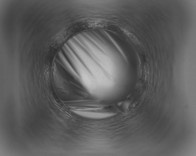 X0000051270513200507011748