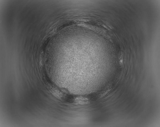 X0000051270515200507011748