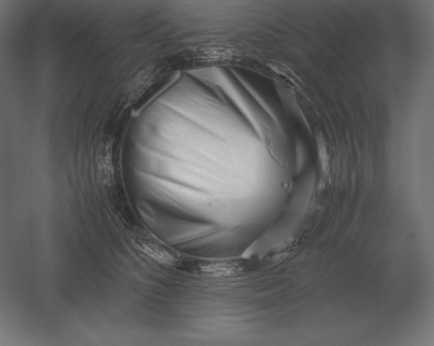 X0000051270516200507011748